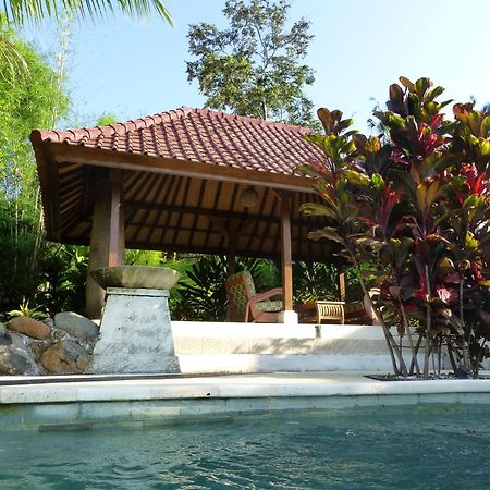 West Bali Villas-Umasari Resort 네가라 외부 사진
