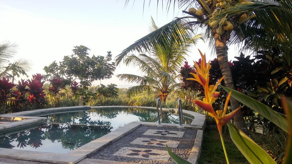 West Bali Villas-Umasari Resort 네가라 외부 사진