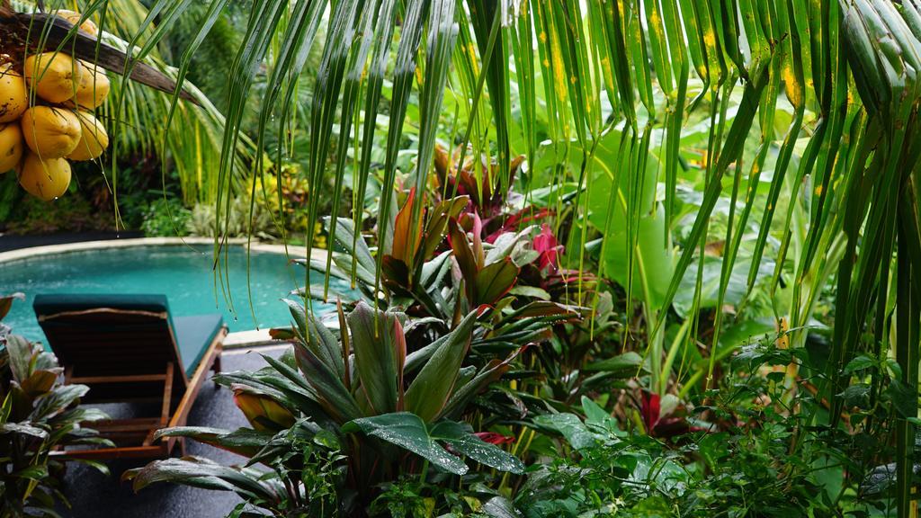 West Bali Villas-Umasari Resort 네가라 외부 사진
