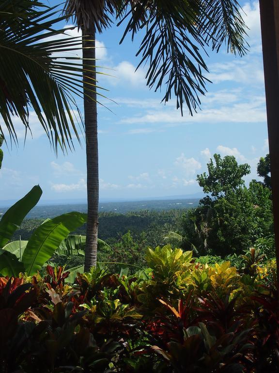 West Bali Villas-Umasari Resort 네가라 외부 사진
